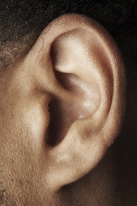 Ear