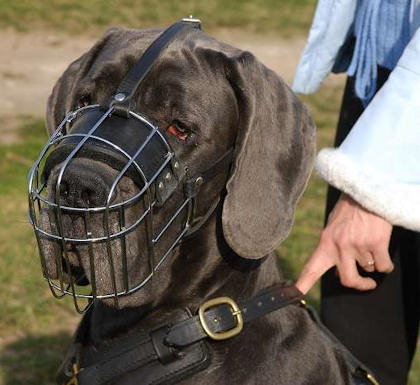 human muzzle silencer