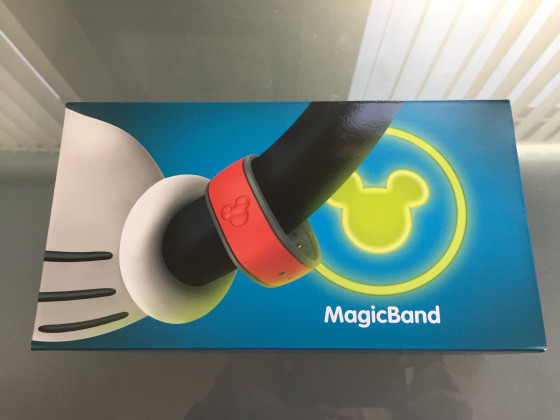 This is how Disney mails out their MagicBands. 